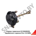 Камера тормозная 35193600250 (4231039000) барабанного тормоза (Тип 12) SORL 35193600250