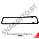 Прокладка клапанной крышки 24-1007245