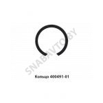 Кольцо (d=140мм) 400491-01