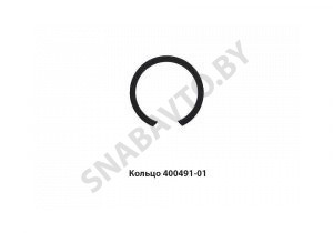 Кольцо (d=140мм) 400491-01