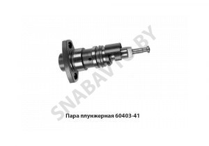 Пара плунжерная 60403-41