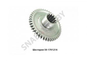 Шестерня ведомая промвала МТЗ Z=43 50-1701214