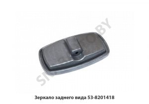 Зеркало заднего вида 53-8201418