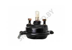 Камера тормозная  передняя тип 20 18.3519110