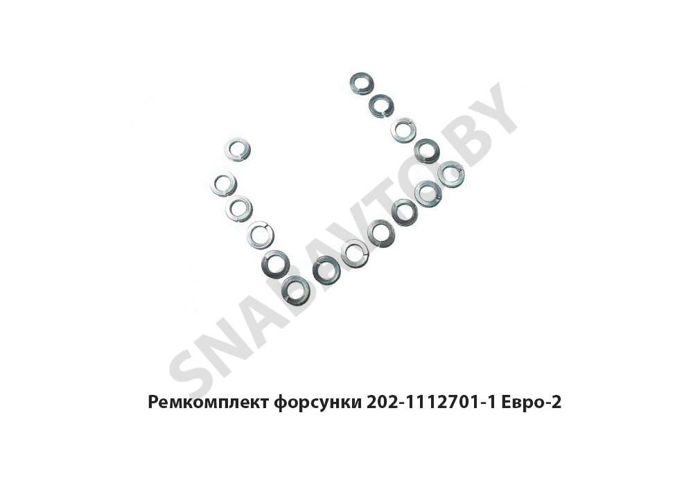 202-1112701-1 Ремкомплект форсунки Евро-2