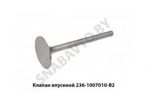 Клапан впускной ф60 шток ф12 236-1007010-В2