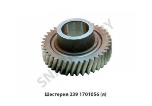 Шестерня пром.вала постоянного зацепления z-39,Автодизель 239.1701056