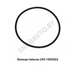 Кольцо гильзы уплотнительное Д-245 245-1002022