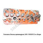 Головка блока цилиндров в сборе 245-1003012