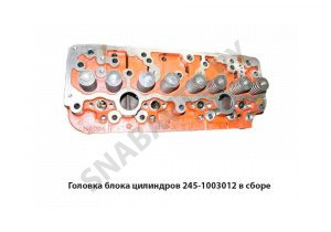 Головка блока цилиндров в сборе 245-1003012