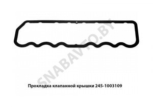 Прокладка клапанной крышки 245-1003109