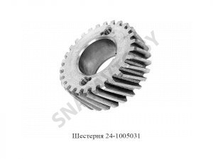 Шестерня 24-1005031