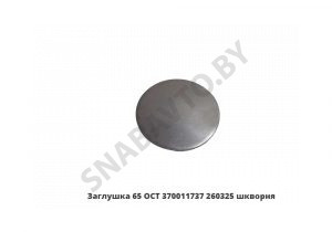 Заглушка 65 OCT шкворня 260325