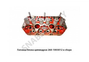 Головка блока цилиндров в сборе 260-1003012