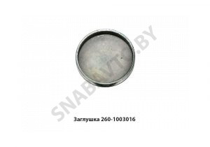 Заглушка Д-260 260-1003016
