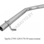 Труба выхлопная 2705-1203170-30
