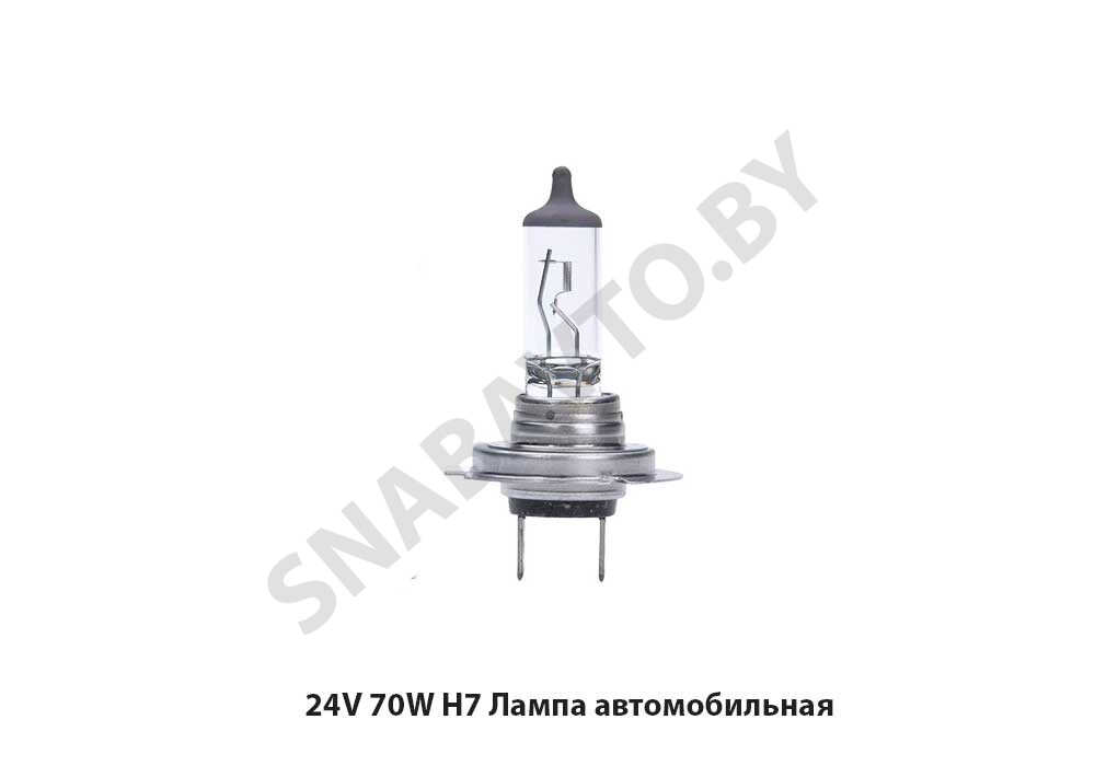24V 70W H7 Лампа  автомобильная 