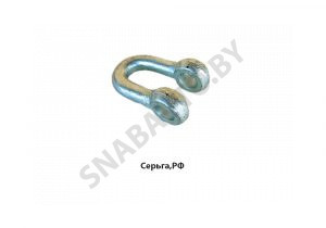 Серьга,РФ А 61.09.002