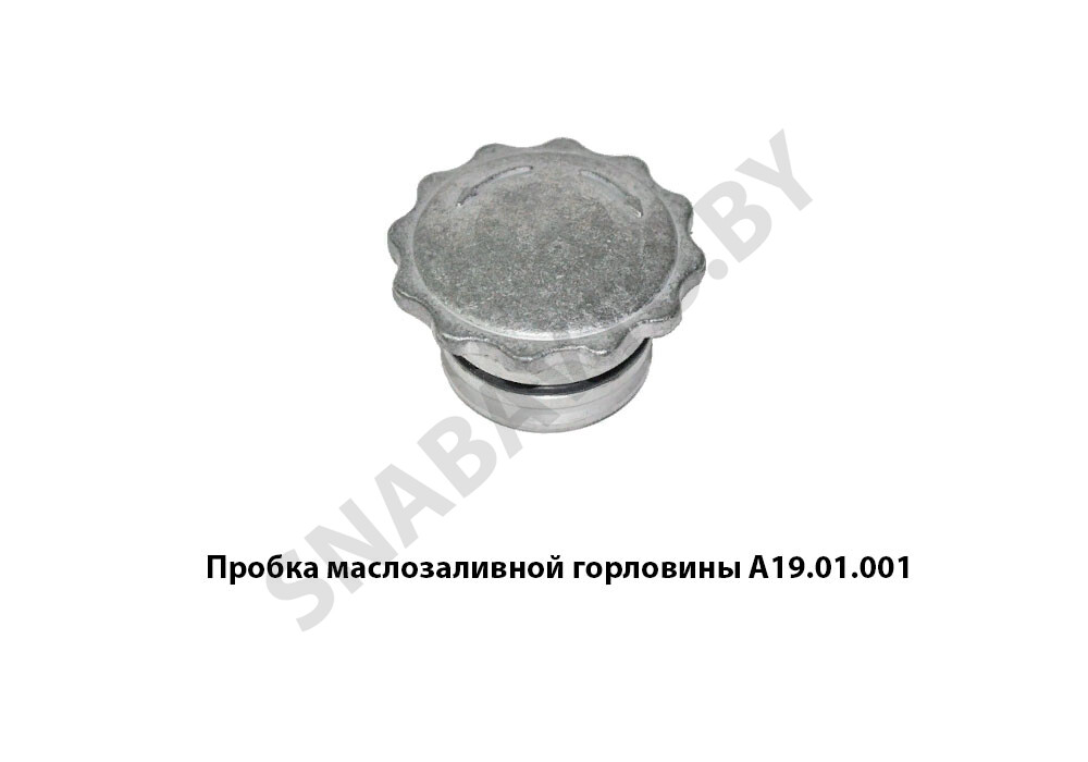 Пробка маслозаливной горловины А19.01.001, RSTA