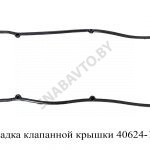 Прокладка клапанной крышки 40624-1007245