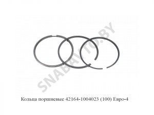 Кольца поршневые (100) Евро-4 42164-1004023