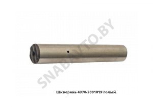 Шкворень голый под подшипники 4370-3001019