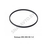 Кольцо защитное форсунки (резиновое) 290-300-58-1-4