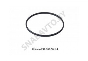 Кольцо защитное форсунки (резиновое) 290-300-58-1-4