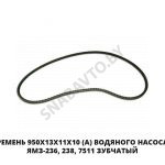 Ремень 950х13х11х10 (А) водяного насоса ЯМЗ-236, 238, 7511 зубчатый 950х13х11х10 (Z)