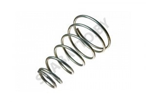 Пружина камеры тормозной 5336-3519154