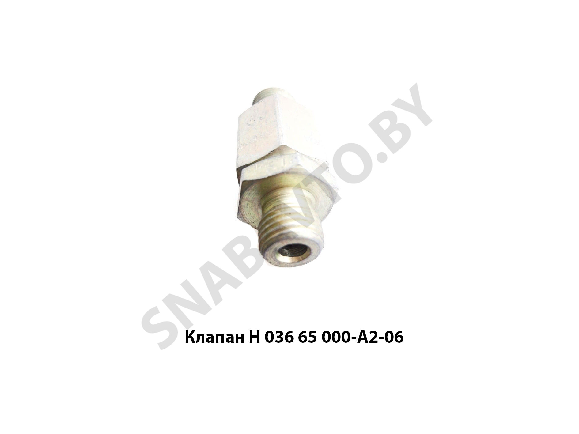 Клапан замедлительный Н.036.65.000-А2-06