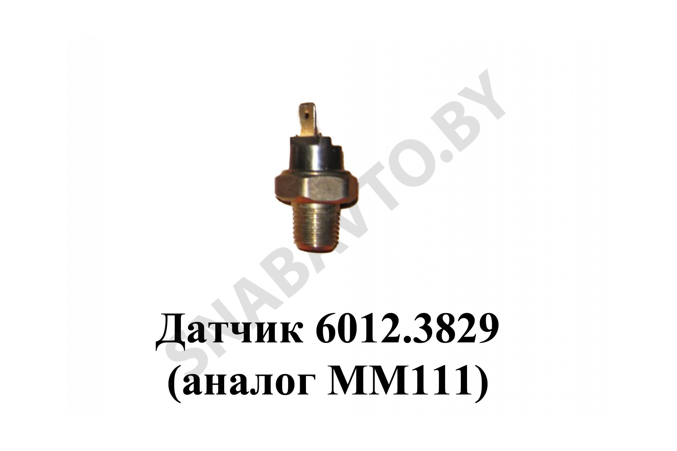Датчик 6012 3829