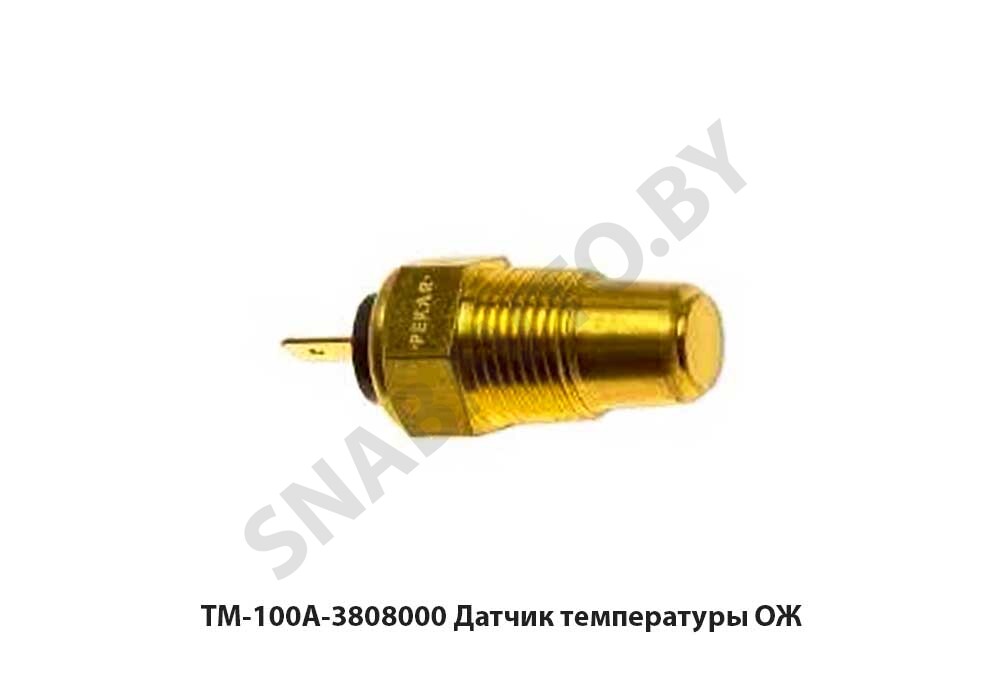 ТМ-100А-3808000