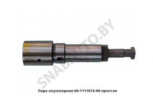 Пара плунжерная простая 9мм 60-1111073-09