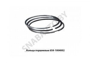 Кольца поршневые комплект 658.1004002