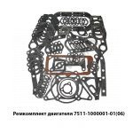 Ремкомплект двигателя (прокладки) 7511-1000001-06