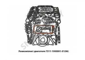 Ремкомплект двигателя (прокладки) 7511-1000001-06