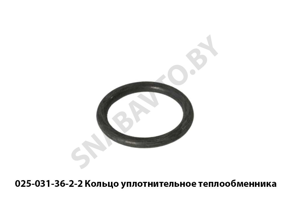 Кольцо уплотнительное теплообменника 025-031-36-2-2, БРТ