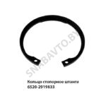 Кольцо стопорное штанги 6520-2919833