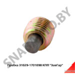Пробка 31029-1701098 КПП «ЗавГар» 31029-1701098