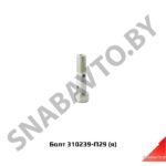 Болт М10х1х40 под 2 трубки 310239-П29