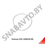 Кольцо уплотнительное ротора,Автодизель 236-1028246